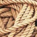 Curbs on jute imports from Bangladesh
