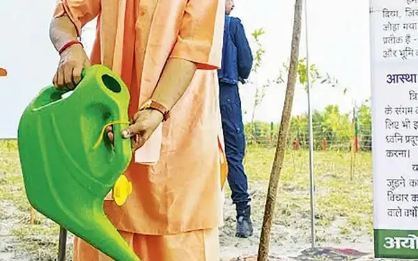 Record 37 crore saplings planted in 1 day