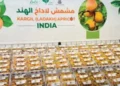 Kargil apricots reach Saudi Arabia