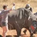 Project-to-protect-rhinos-from-poaching