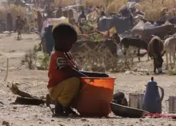 Sudan's El Fasher epicenter of child suffering