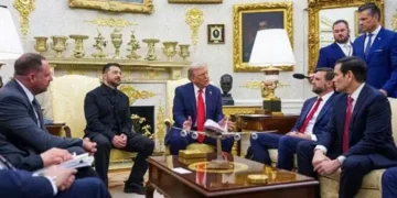 Trump working to arrange meeting between Putin and Zelensky