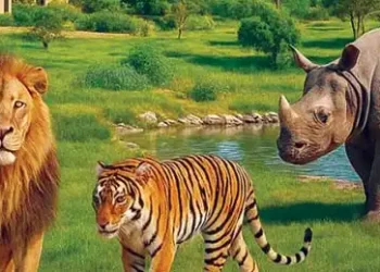 SIT to probe allegations against Vantara