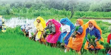 Agricultural workers of the state will now get Rs 6552 every month