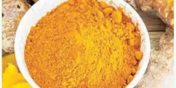 There is a risk of liver damage due to excessive consumption of turmeric