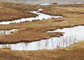 Health risks from land degradation unveiled