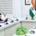Municipalities will become smart, financial approval limit of municipal corporations will increase