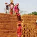 Benefits of schemes will be available under Zero Poverty, registration will be required