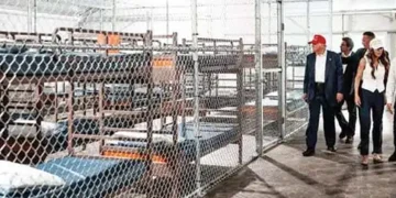 ‘Alligator Alcatraz’ extension halted