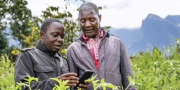 AI to farmers’ rescue