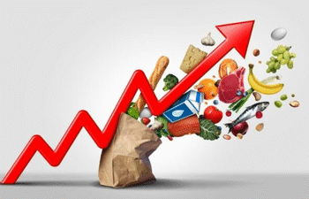 India set for 6.5 pc average growth over next decade: Morgan Stanley