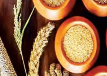 Increase in MSP of grains