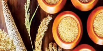 Increase in MSP of grains