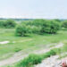 Namo Van will be built on 13.41 acres on the banks of Gomti River, where 1.31 lakh saplings will be planted.