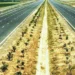 Private company will conduct safety audit of Hardoi Highway