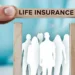 Life insurance companies