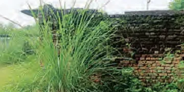 Sherpur's historic eastern school will be rebuilt