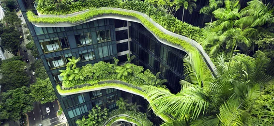 Green building market to grow over 10 pc annually to $85 billion by FY32