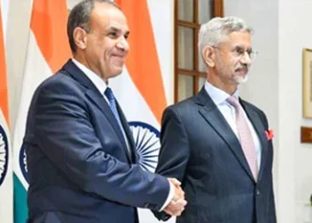Growing India-Egypt ties open doors for collaboration in EV and renewables