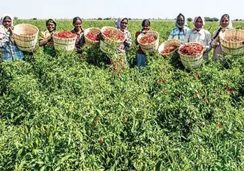 Paving way for greener future