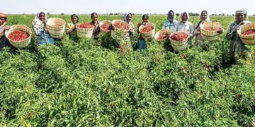 Paving way for greener future