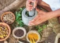 The growing relevance of Traditional Medicine