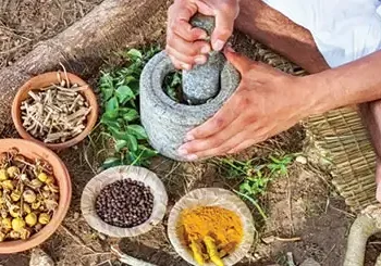 The growing relevance of Traditional Medicine