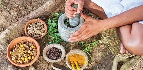 The growing relevance of Traditional Medicine