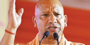 yogi