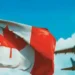 If you have a Canadian PR, you can enter 30 countries without a visa.