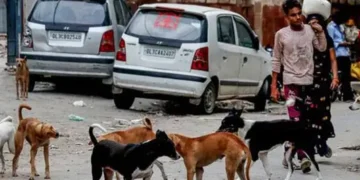 Apex court pulls up babus