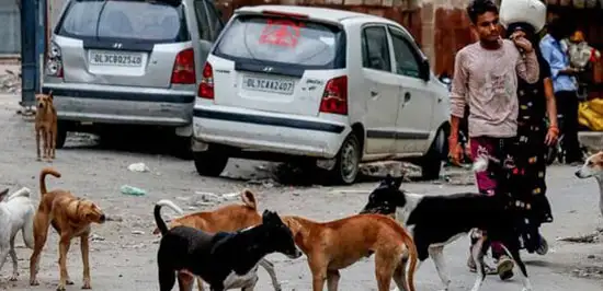 Apex court pulls up babus