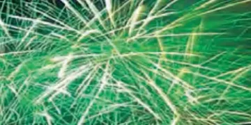 Green crackers will be manufactured but not sold in Delhi-NCR.