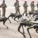 The army will be destroyed at the mere signal of a 'robotic mule'.