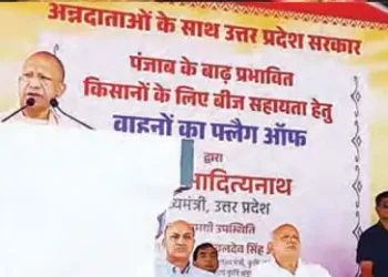 Wheat seeds from UP will make Punjab's fields flourish