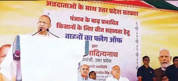Wheat seeds from UP will make Punjab's fields flourish