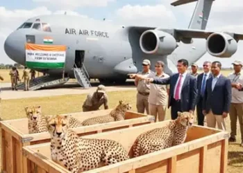 Botswana’s gift to India