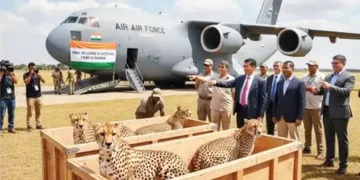 Botswana’s gift to India