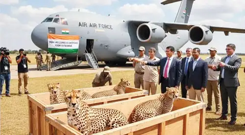 Botswana’s gift to India