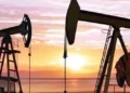 Record high oil output