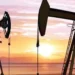 Record high oil output