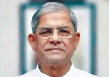 BNP recalls martyrdom of freedom fighters in 1971