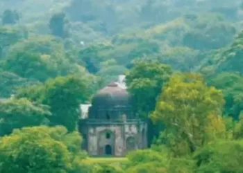 A major decision has been taken to protect the Ridge area, considered the 'green lungs' of Delhi.