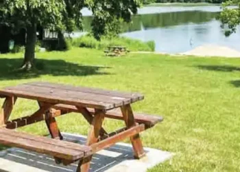 DDA is building Mayur Nature Park on 371 hectares.