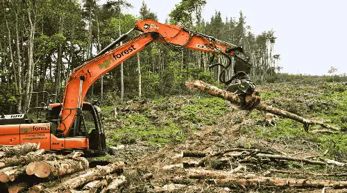 ‘Uttarakhand forest land grab shocking’