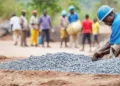 Cobalt exports resume
