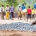 Cobalt exports resume