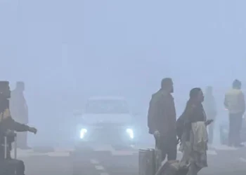 Dense fog disrupts life in Delhi-NCR; flight operations impacted