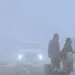 Dense fog disrupts life in Delhi-NCR; flight operations impacted