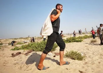 Hottest year on record